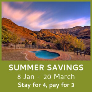 Summer Savings 8 Jan - 20 March Stay for 4, pay for 3